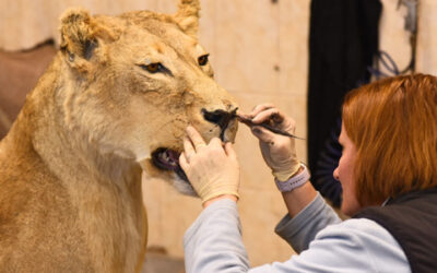 Franc & Zugar: dvě jména, jedna vášeň