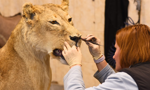 Franc & Zugar: dvě jména, jedna vášeň