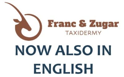 Anglická verze je online!