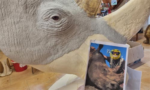 Věrná kopie, živý originál: Nosorožec z Jižní Afriky