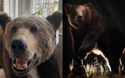 Když fotí amatér a když fotí profík