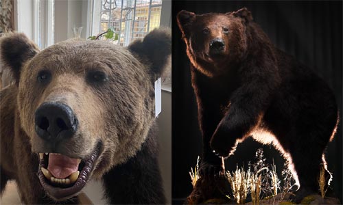 Když fotí amatér a když fotí profík