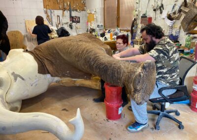 preparace slona / taxidermy elephant