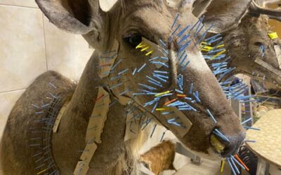 Příběh tisíce a jednoho špendlíku