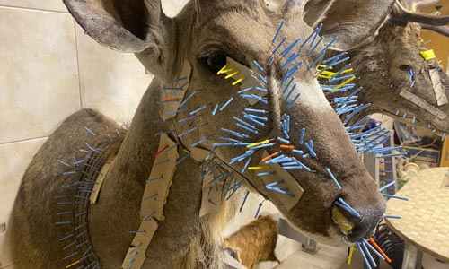 Příběh tisíce a jednoho špendlíku